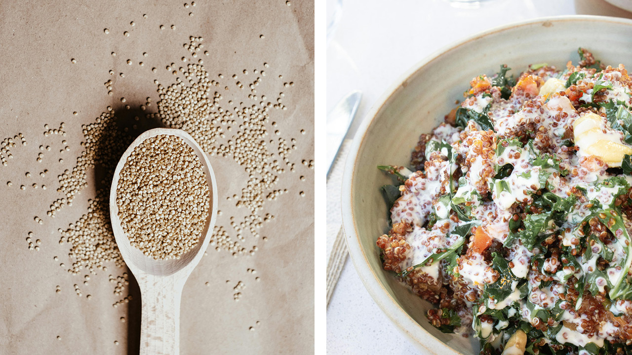 Why Quinoa Should Be Your New Go-To Grain + 5 Tasty Recipes You Will ...